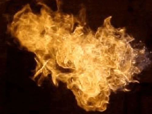 Quadraflo Burner Image Three